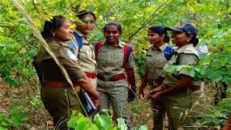 Uttarakhand Forest Development Corporation, E.